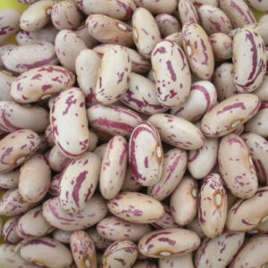 Speckled kidney beans