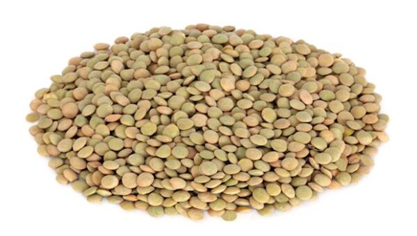 Bulk Green And Red Quality Lentils - Image 3