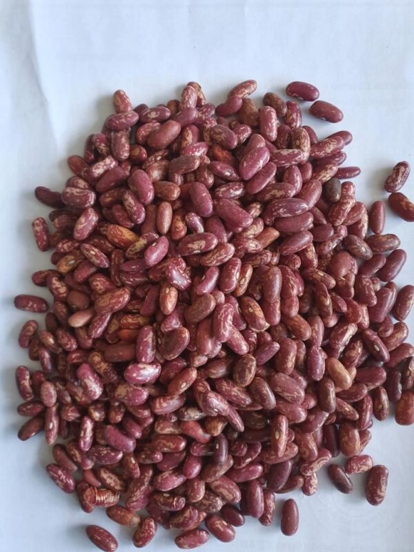 Light Speckled Kidney Beans - Image 5